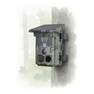 Vadkamerák, Kameracsapdák