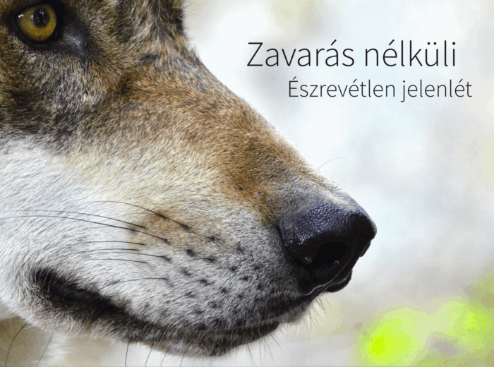 MOSAIC kameracsapdák