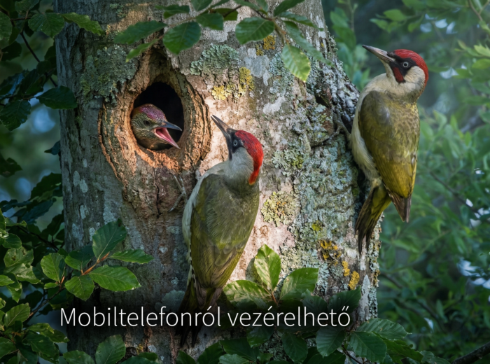 Mobiltelefonról vezérelhető megfigyelés